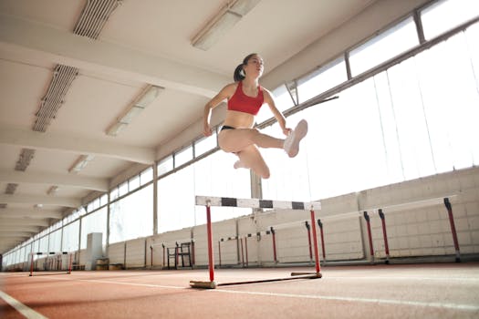 dog jumping over agility hurdle