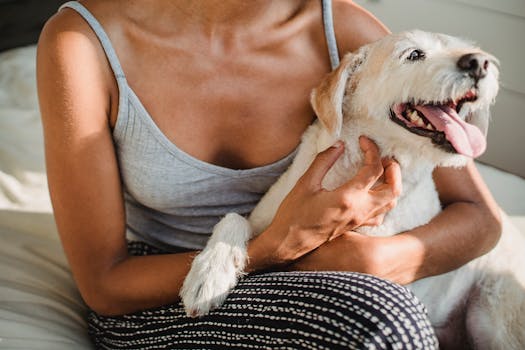 puppy bonding with owner