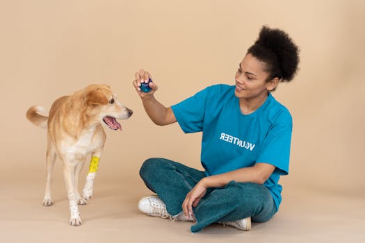 dog balancing on a training ball