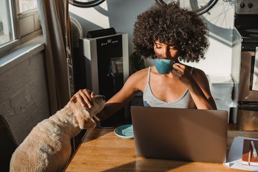 dog owner rewarding their dog