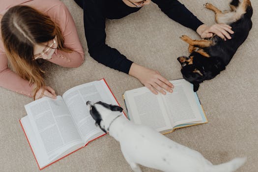 puppy learning commands with treats