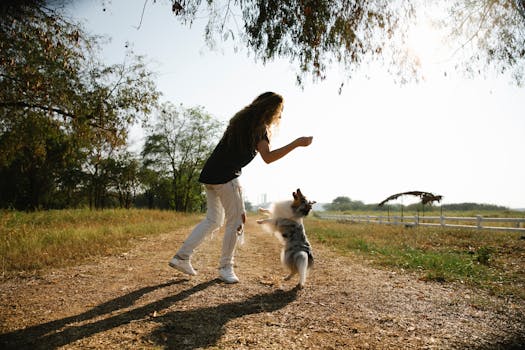 puppy playing with owner