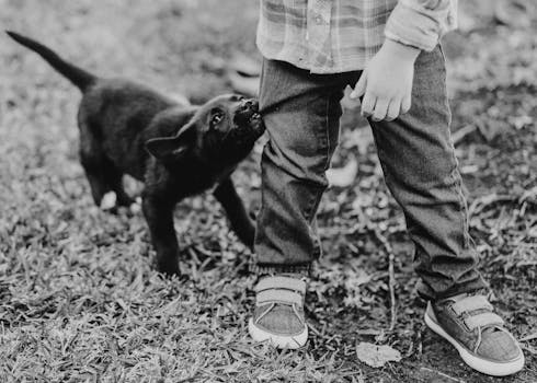 happy toddler petting a puppy