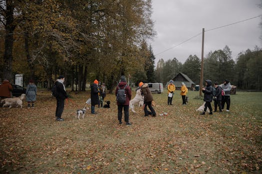 puppy socializing with other pets