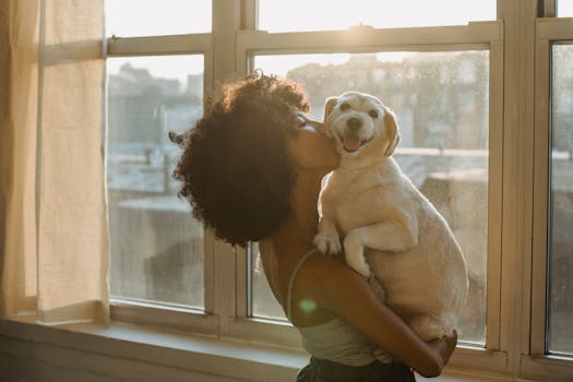 happy puppy with owner