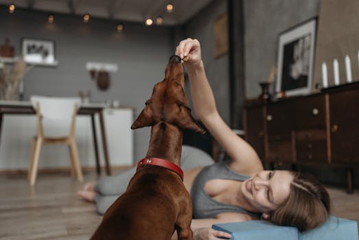 dog training session with treats