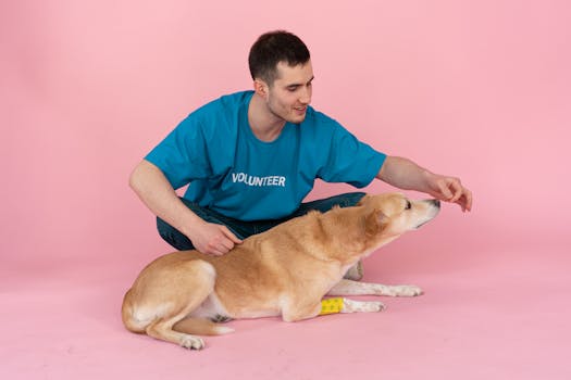 puppy giving a high-five