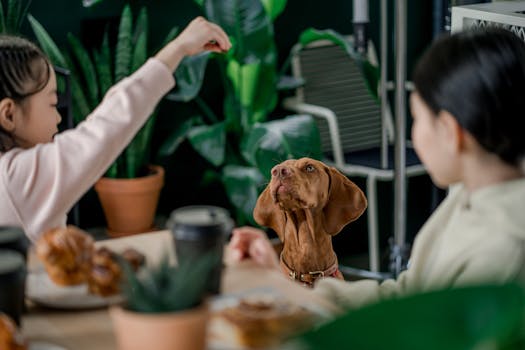 puppy playing and learning