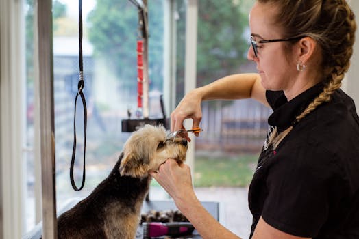 certified dog trainer working with a puppy