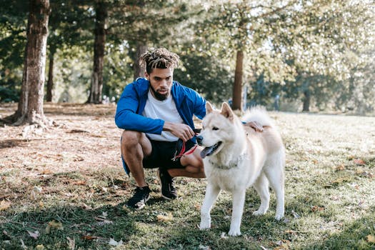 dog and owner enjoying a training session together