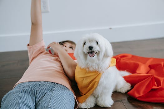 dog playing with a new friend