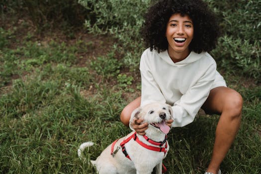 happy puppy playing with owner