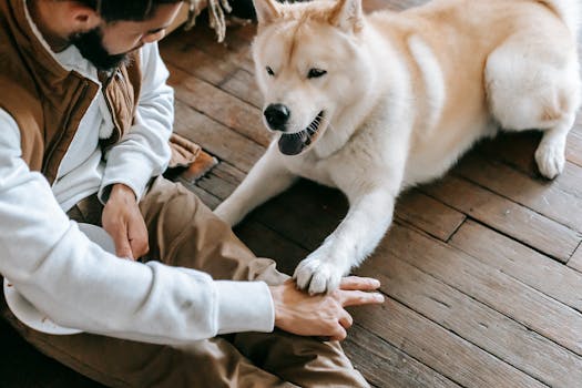 dog training class with owner