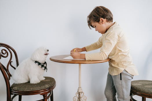 happy puppy learning commands