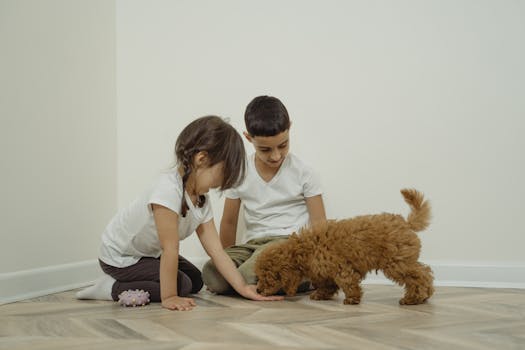 happy puppy playing with friend