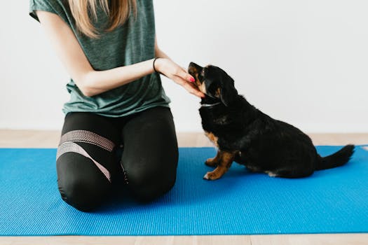 dog enjoying training