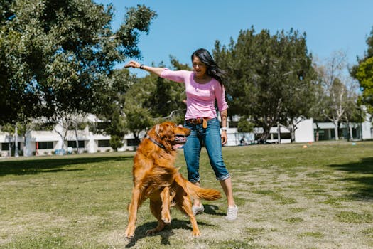 Happy senior dog enjoying a walk