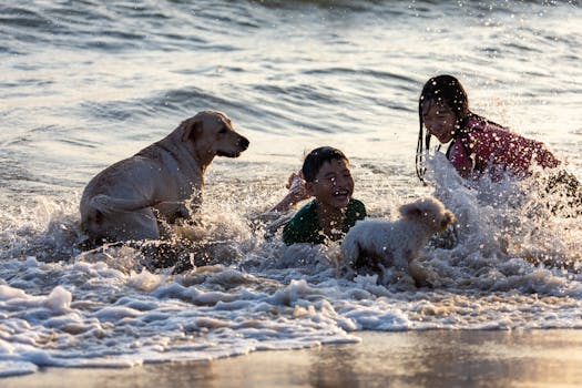 happy dogs playing together