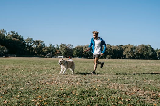 happy dog enjoying training