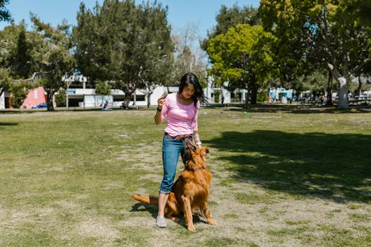 dog playing in the park