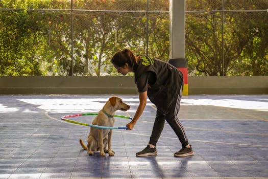 puppy learning commands