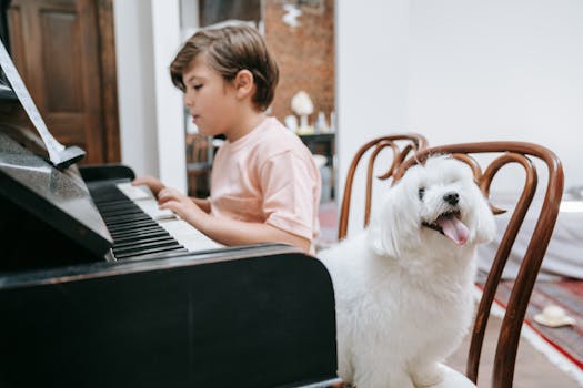 puppy practicing commands at home