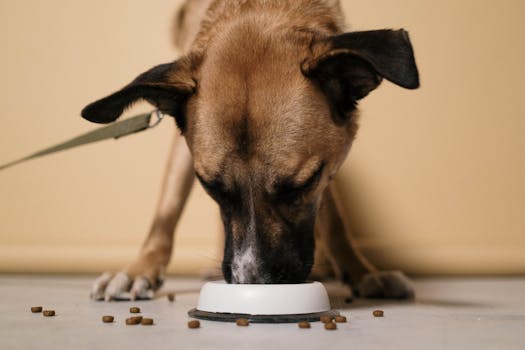 puppy training supplies