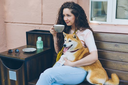 dog enjoying playtime with owner