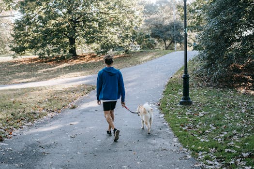 dog enjoying a walk