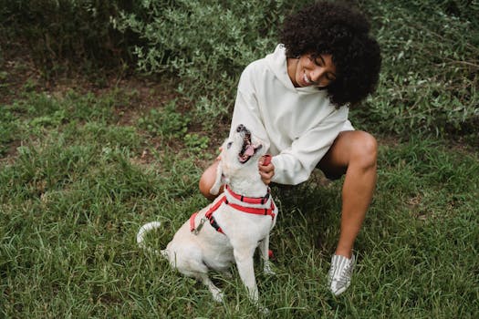 owner playing with dog in the park