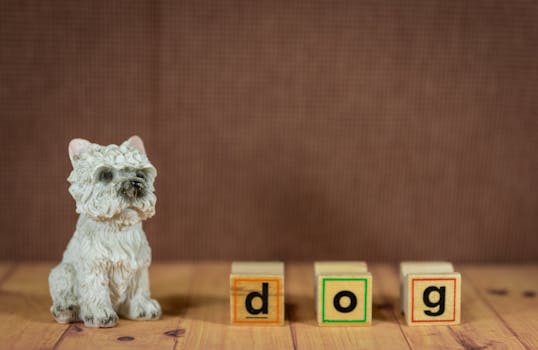 puppy with chew toys