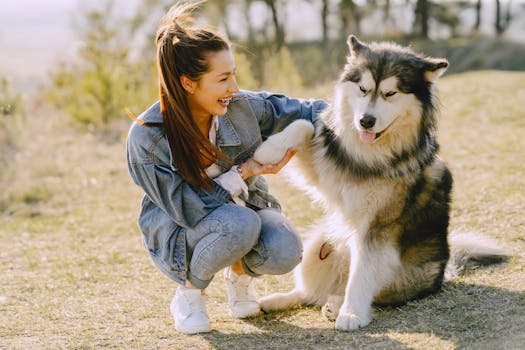 dog being trained with positive reinforcement