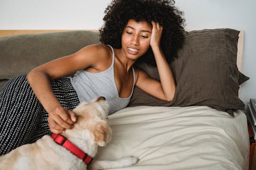 cozy dog bed in a quiet corner